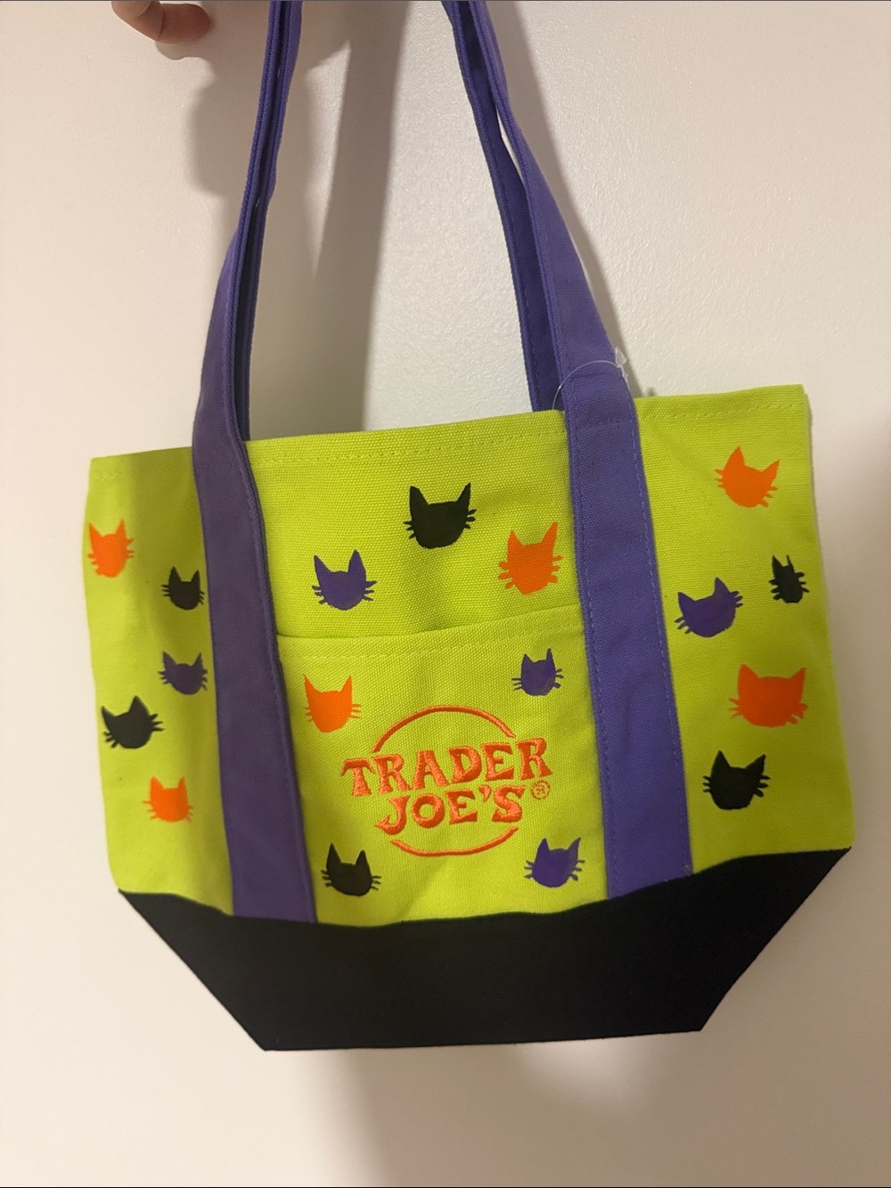 Lime Green & Purple Cat Trader Joe’s Halloween Bag